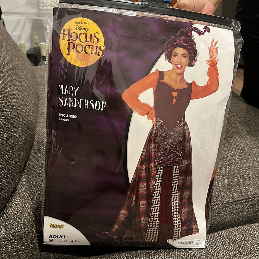 Mary Sanderson Adult costume
